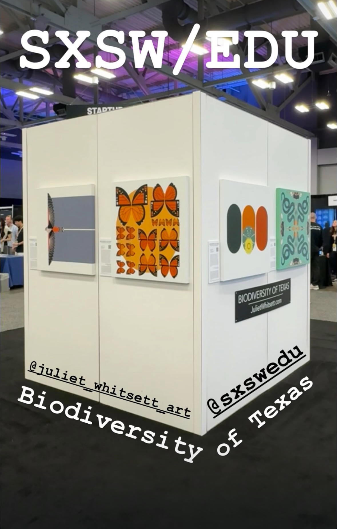 biodiversity-of-texas-sxsw-2025-juliet-whitsett-.jpg