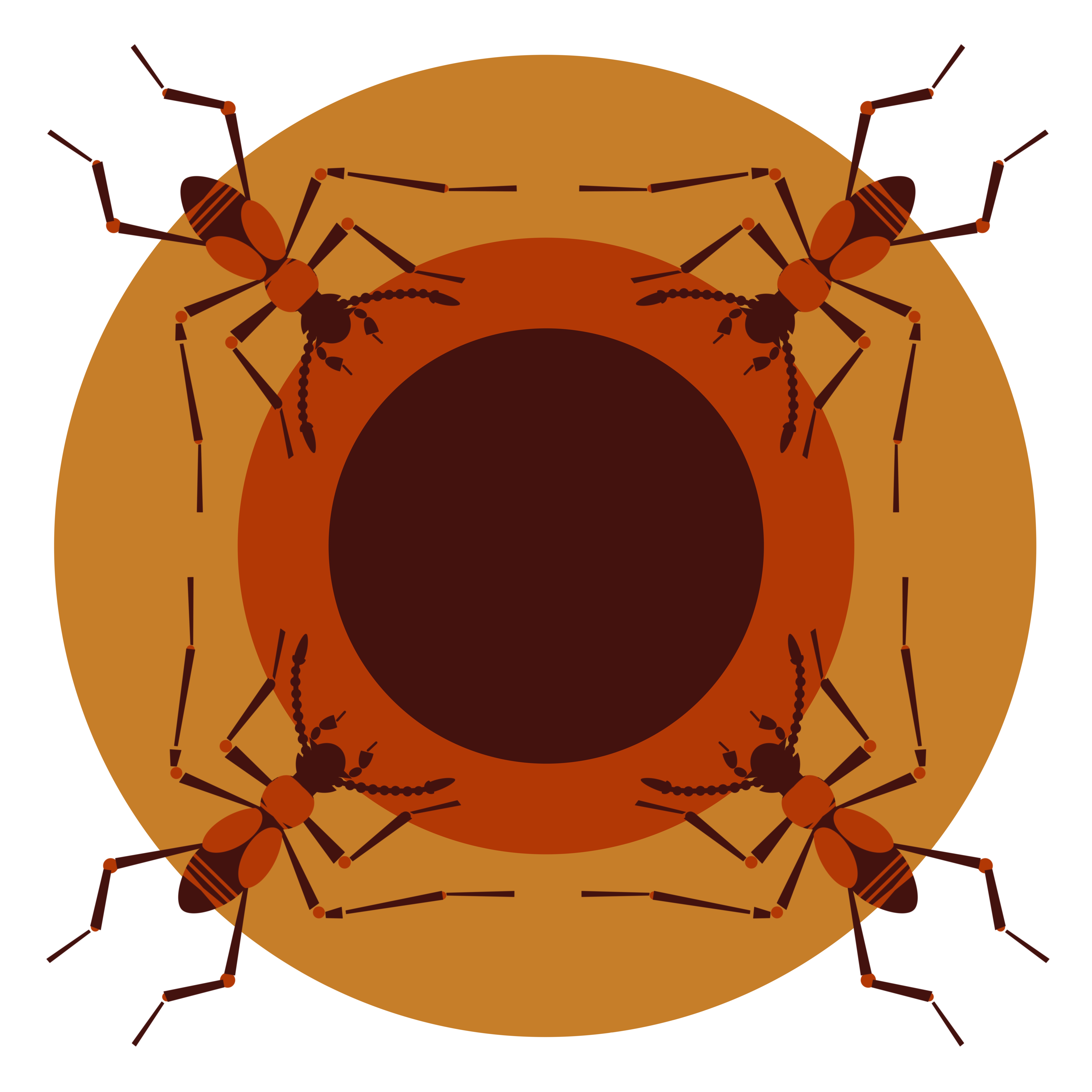 kretschmarr-cave-beetle-5.jpg