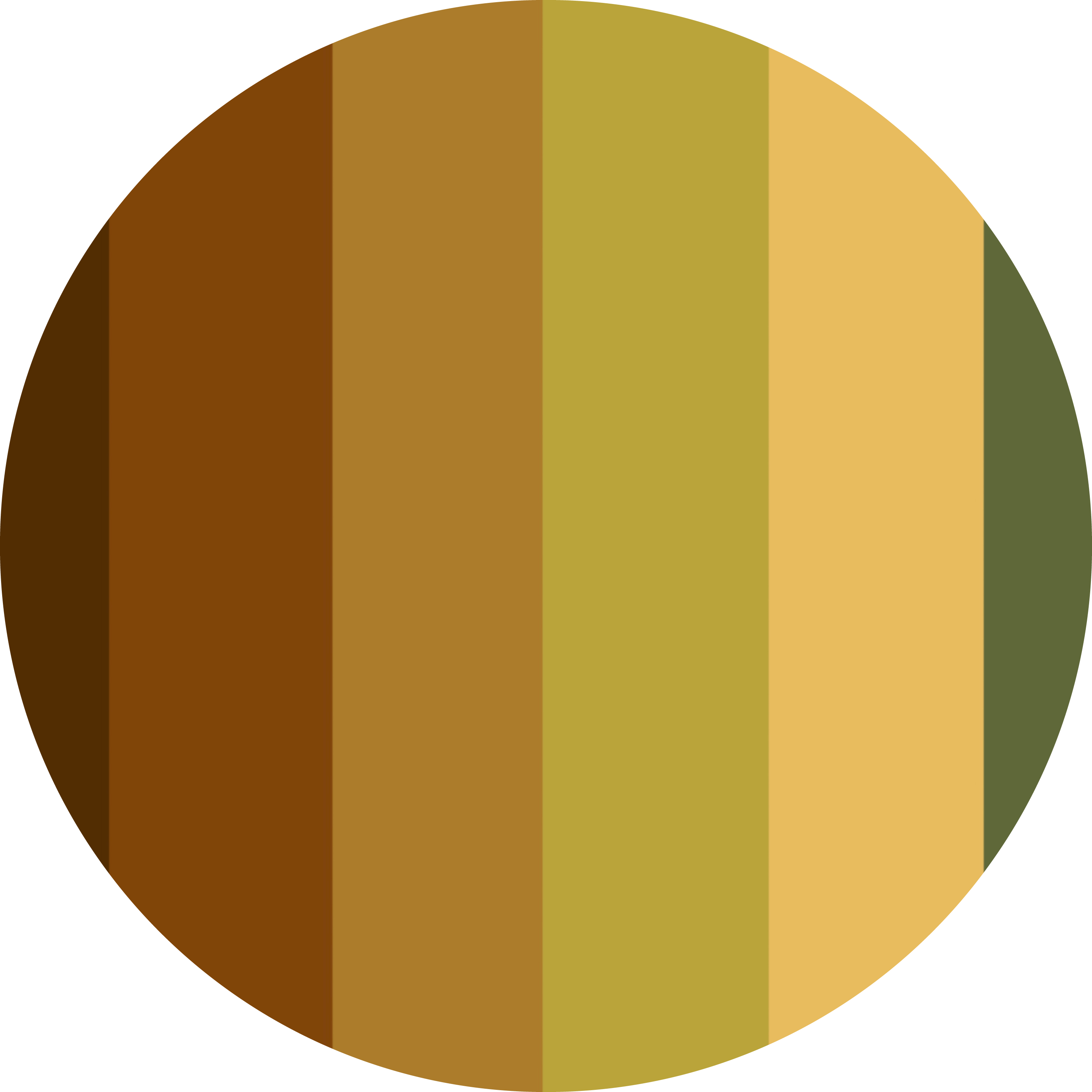 texas-pimpleback-palette-srgb-10-x-10-22.png