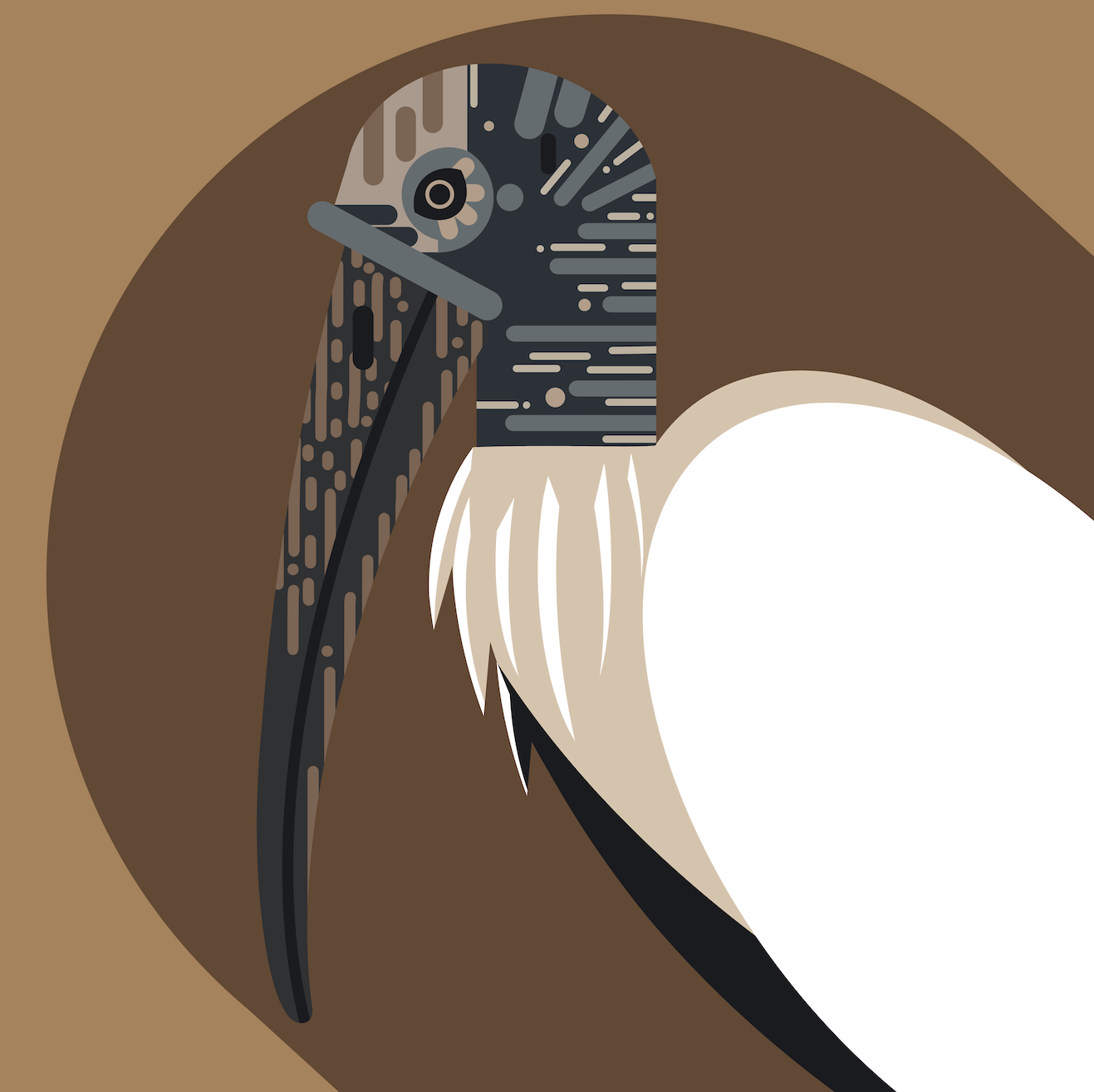 wood-stork.png