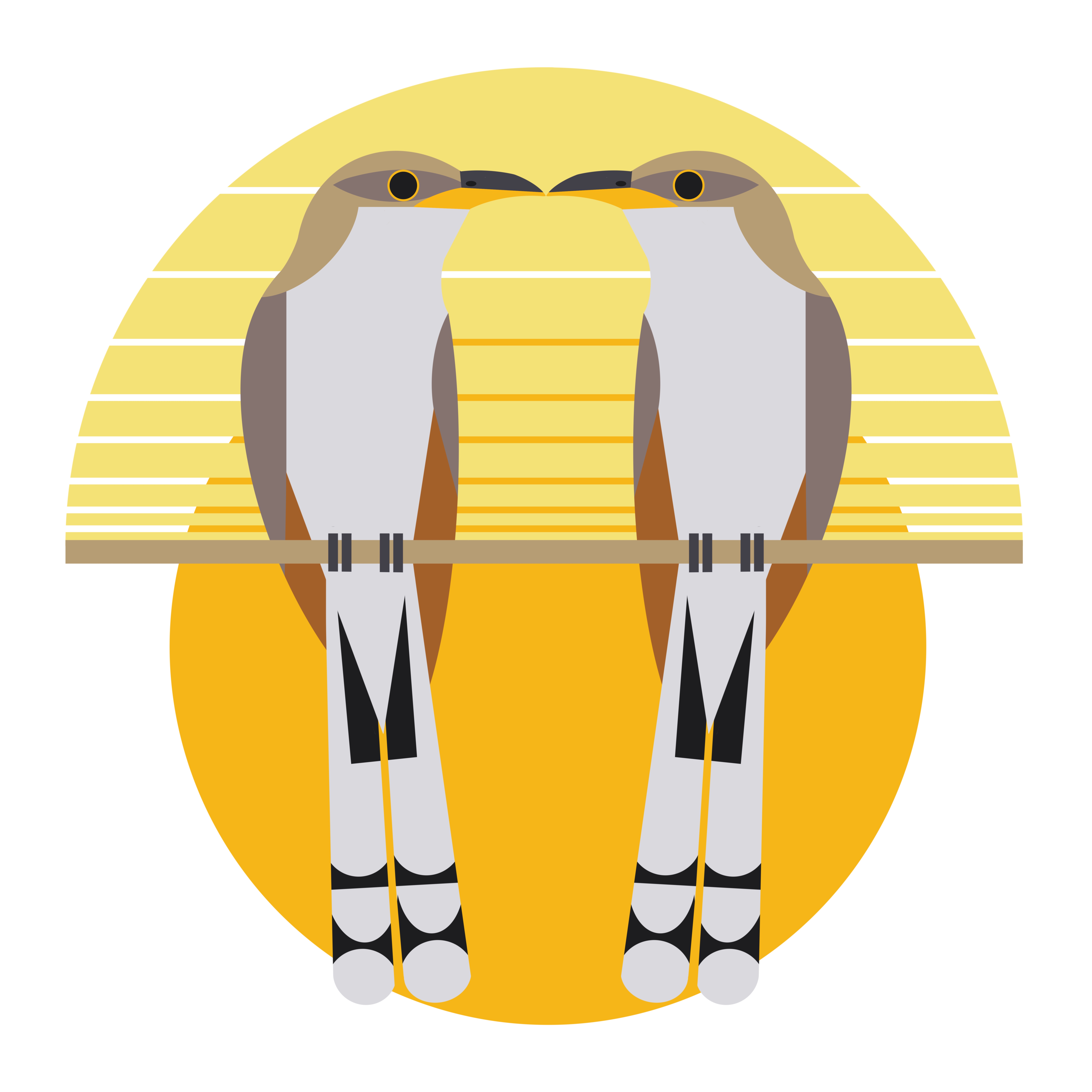 yellow-billed-cucko-orange.jpg